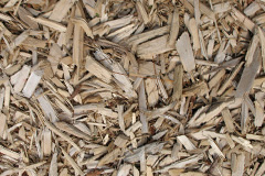 biomass boilers Snarestone